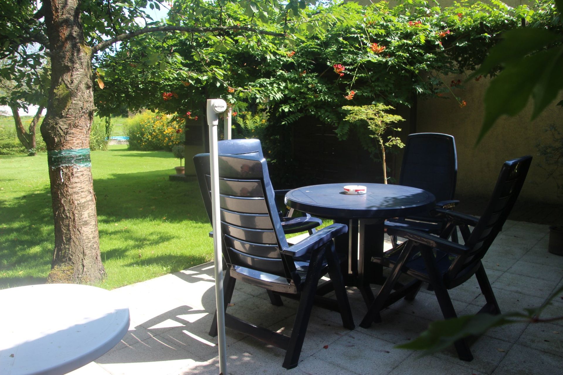 Ein Tisch und Stühle auf einer Terrasse mit Bäumen im Hintergrund