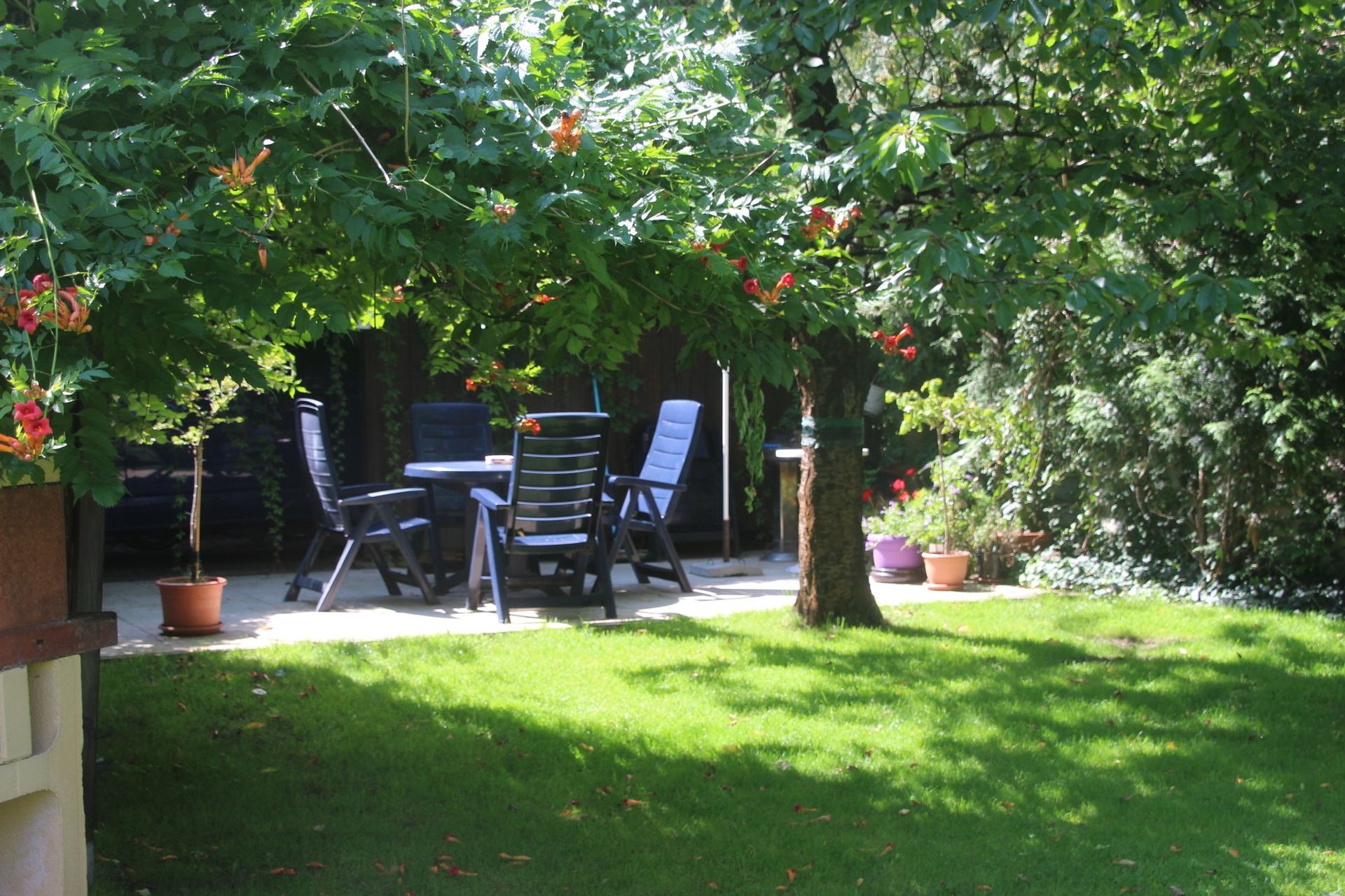 Eine Wiese mit einem Tisch und Stühlen unter einem Baum