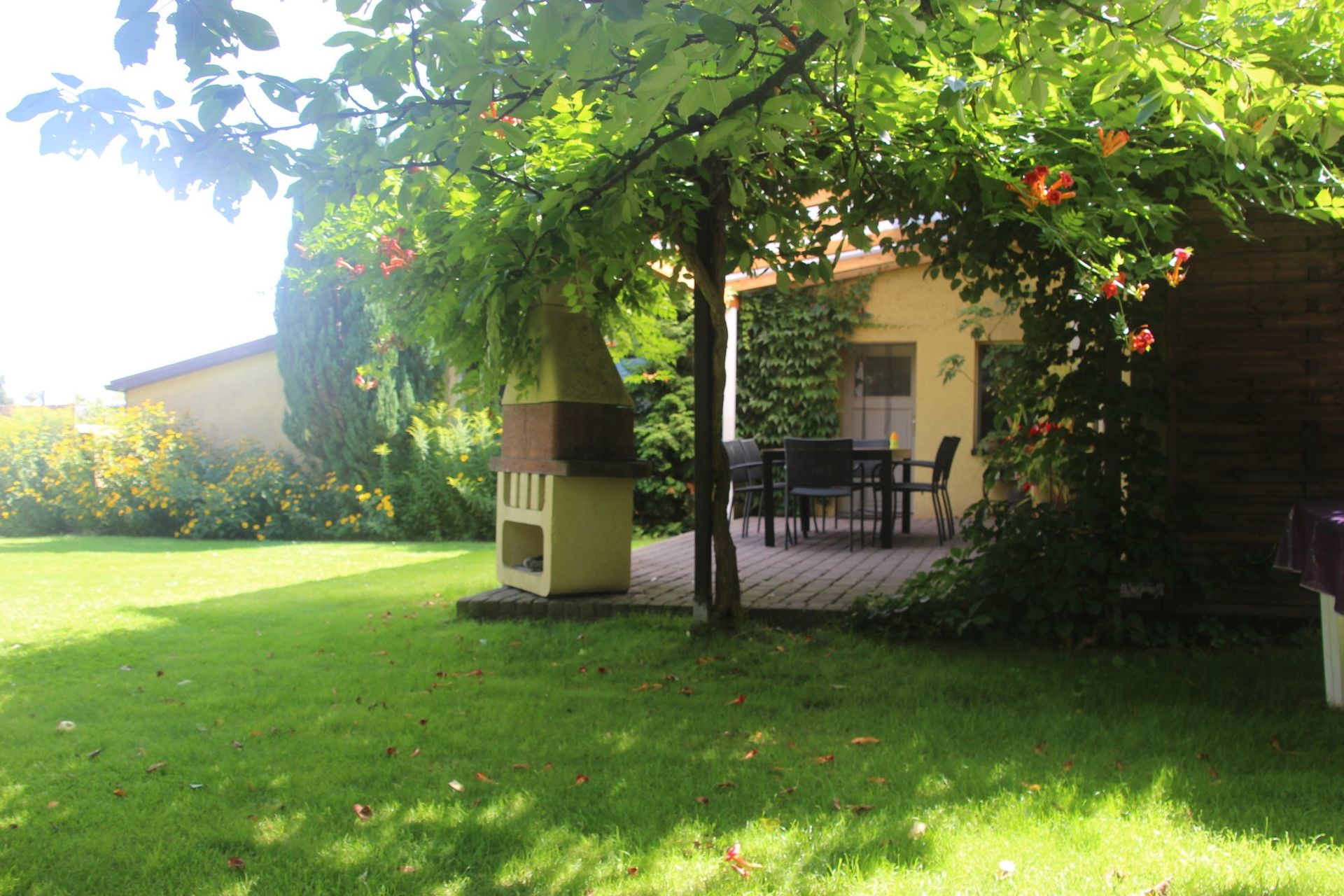 Ein Hinterhof mit einem Tisch und Stühlen unter einem Baum