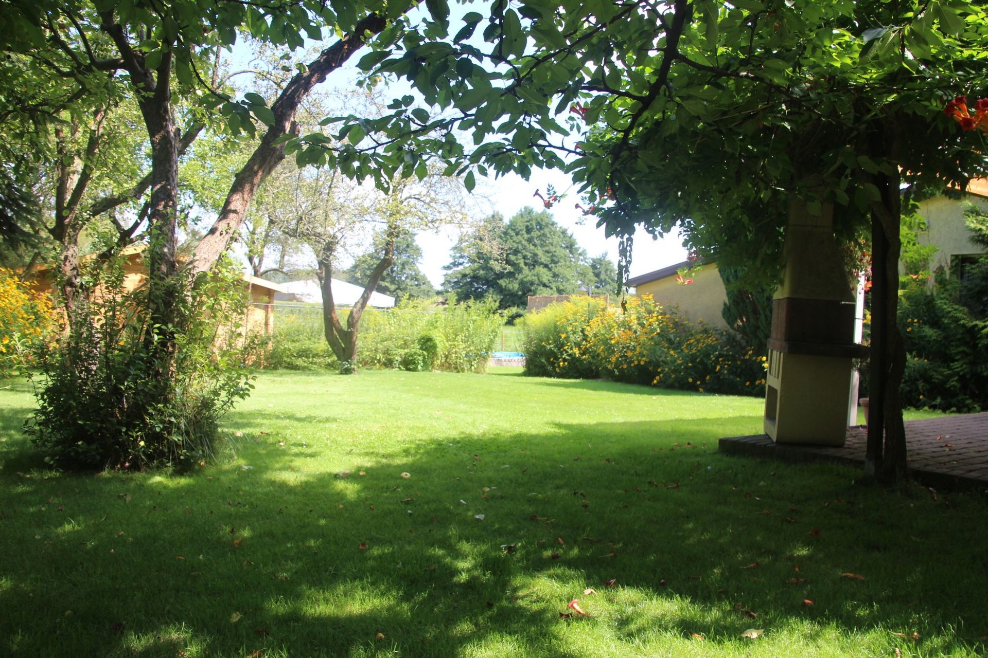 Ein üppiger grüner Rasen mit Bäumen und Büschen drumherum