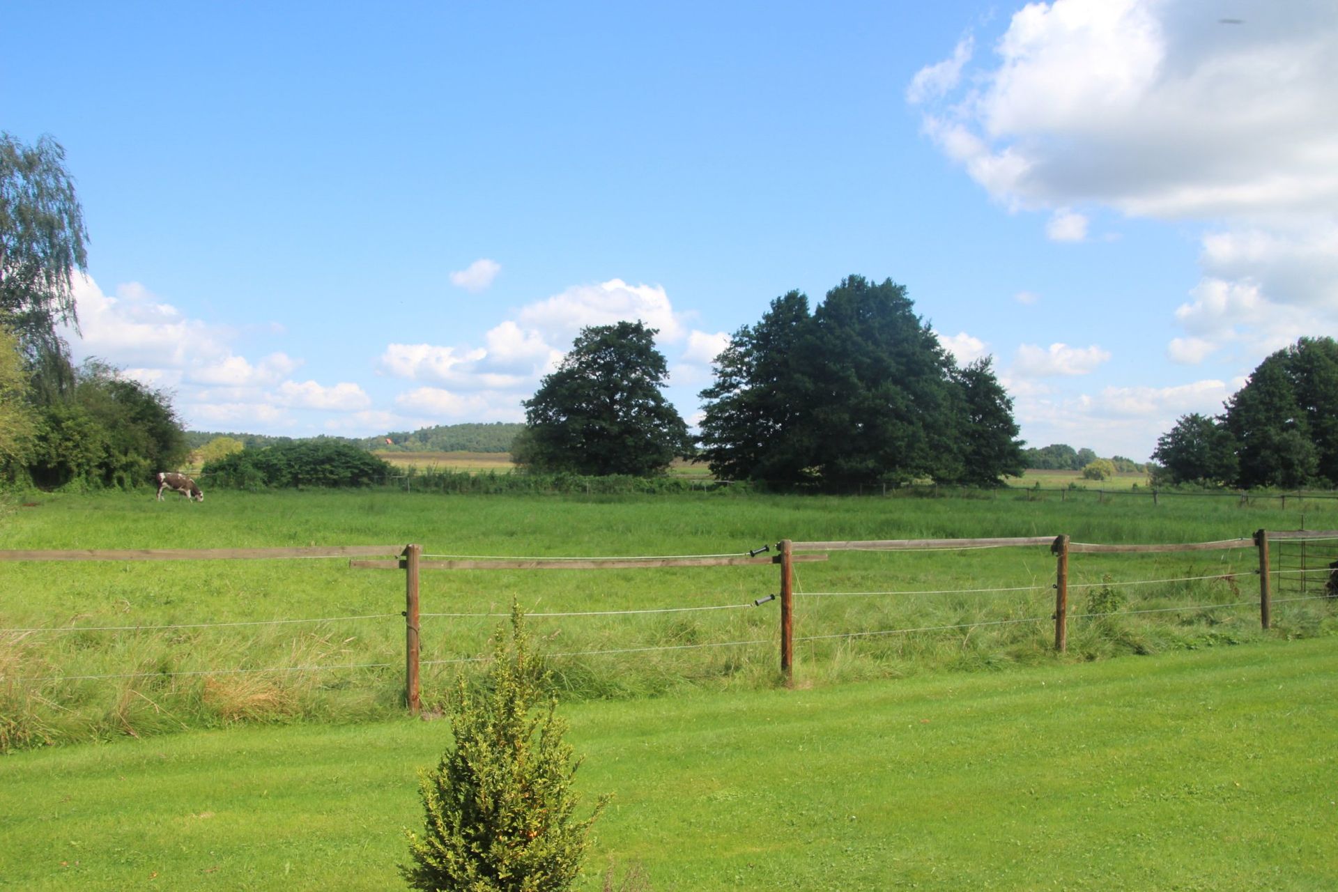 Ein Zaun umgibt eine Wiese mit Bäumen im Hintergrund
