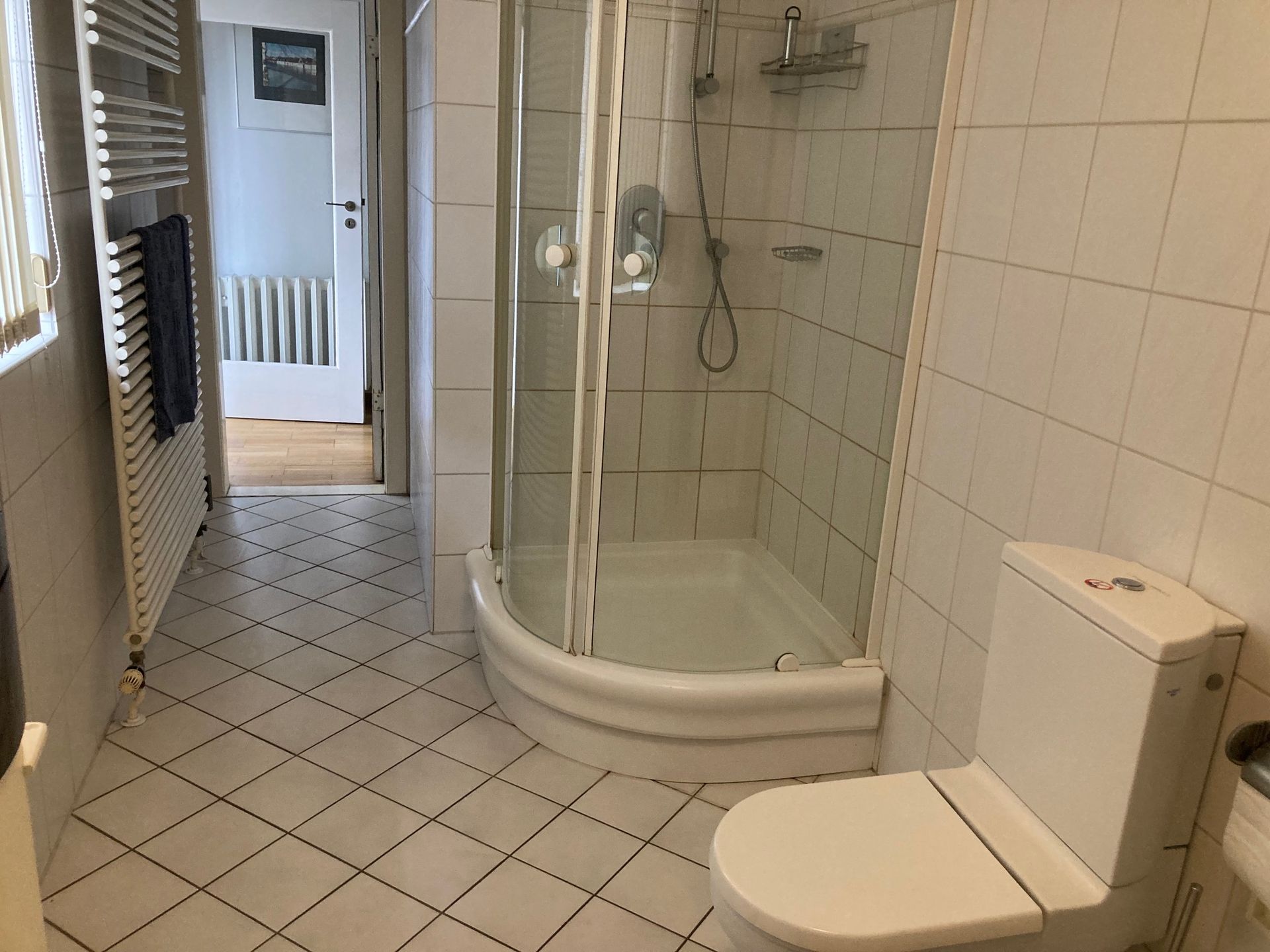 Ein Badezimmer mit Toilette, Dusche und Handtuchhalter