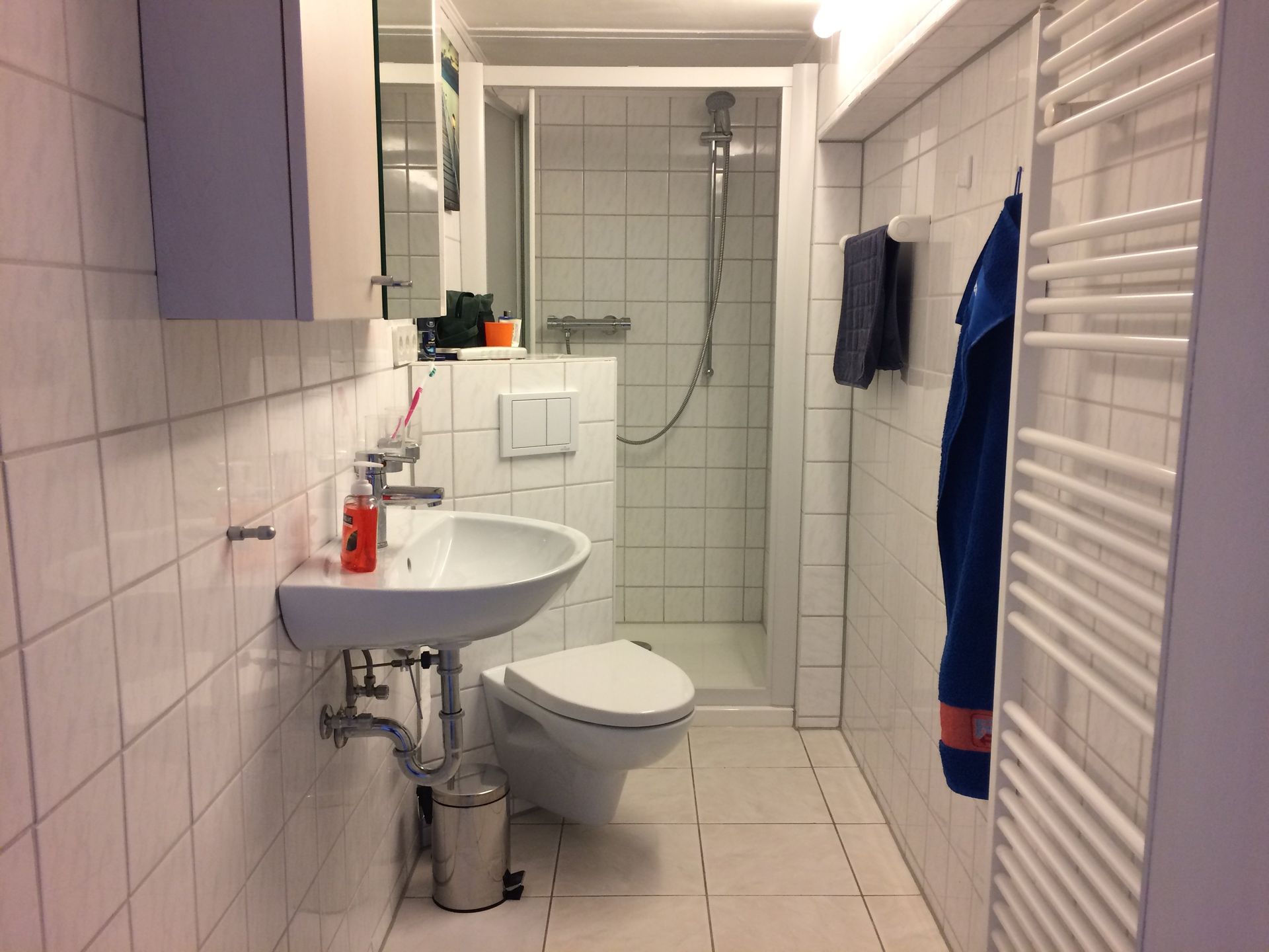 Ein Badezimmer mit Waschbecken, Toilette und Dusche.