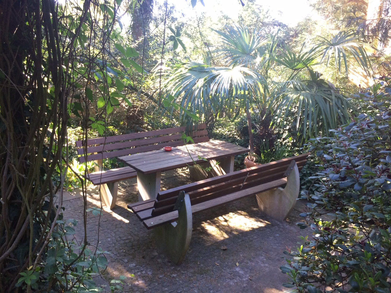 Ein hölzerner Picknicktisch und eine Bank mitten in einem Wald