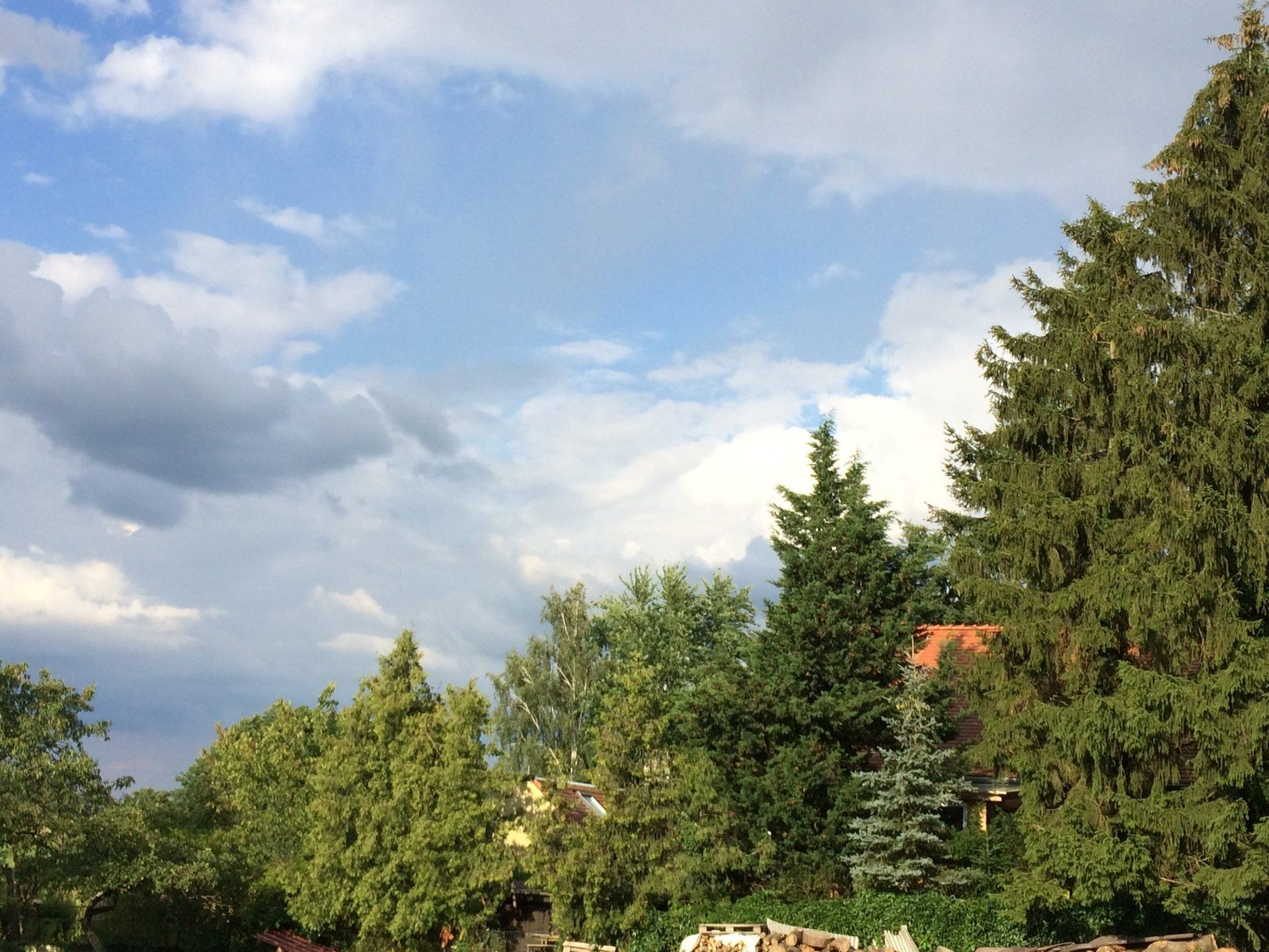 Eine Landschaft mit Bäumen und einem blauen Himmel mit Wolken