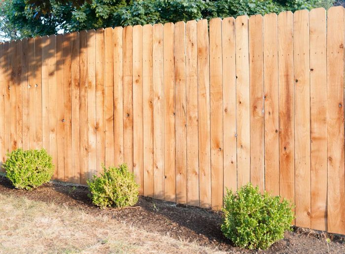 Constructed Wooden Fence in Backyard