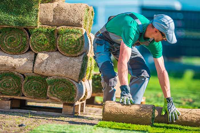 Turf Experts — Organic Turf in Shoalhaven