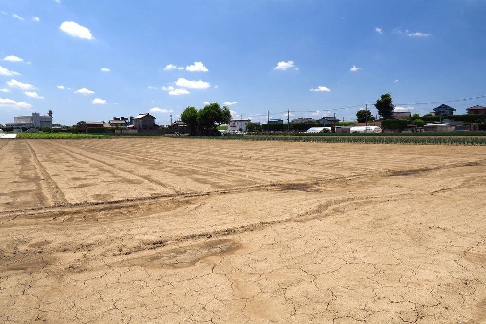 A large dry field with a blue sky in the background.