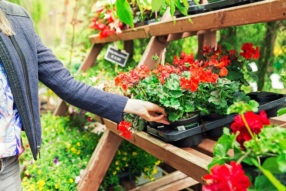 a woman is holding a potted plant in a garden center .