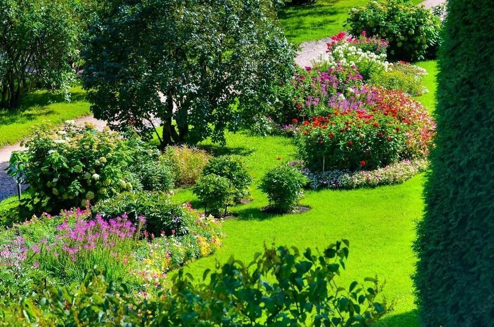 a garden filled with lots of flowers and trees