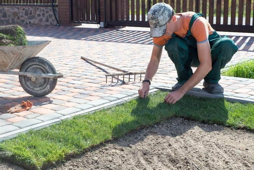 a man is working on a lawn with a rake and a wheelbarrow in the background .