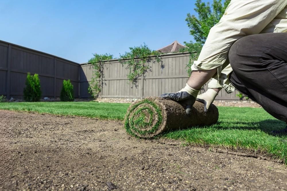 a man is rolling a roll of grass in a backyard .