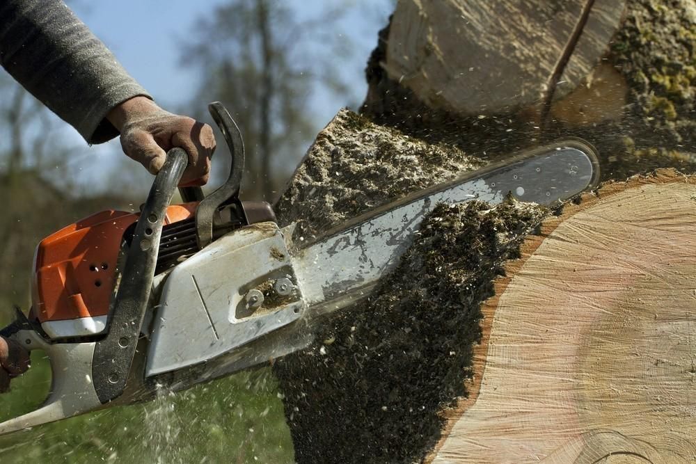 a person is cutting a tree trunk with a chainsaw .