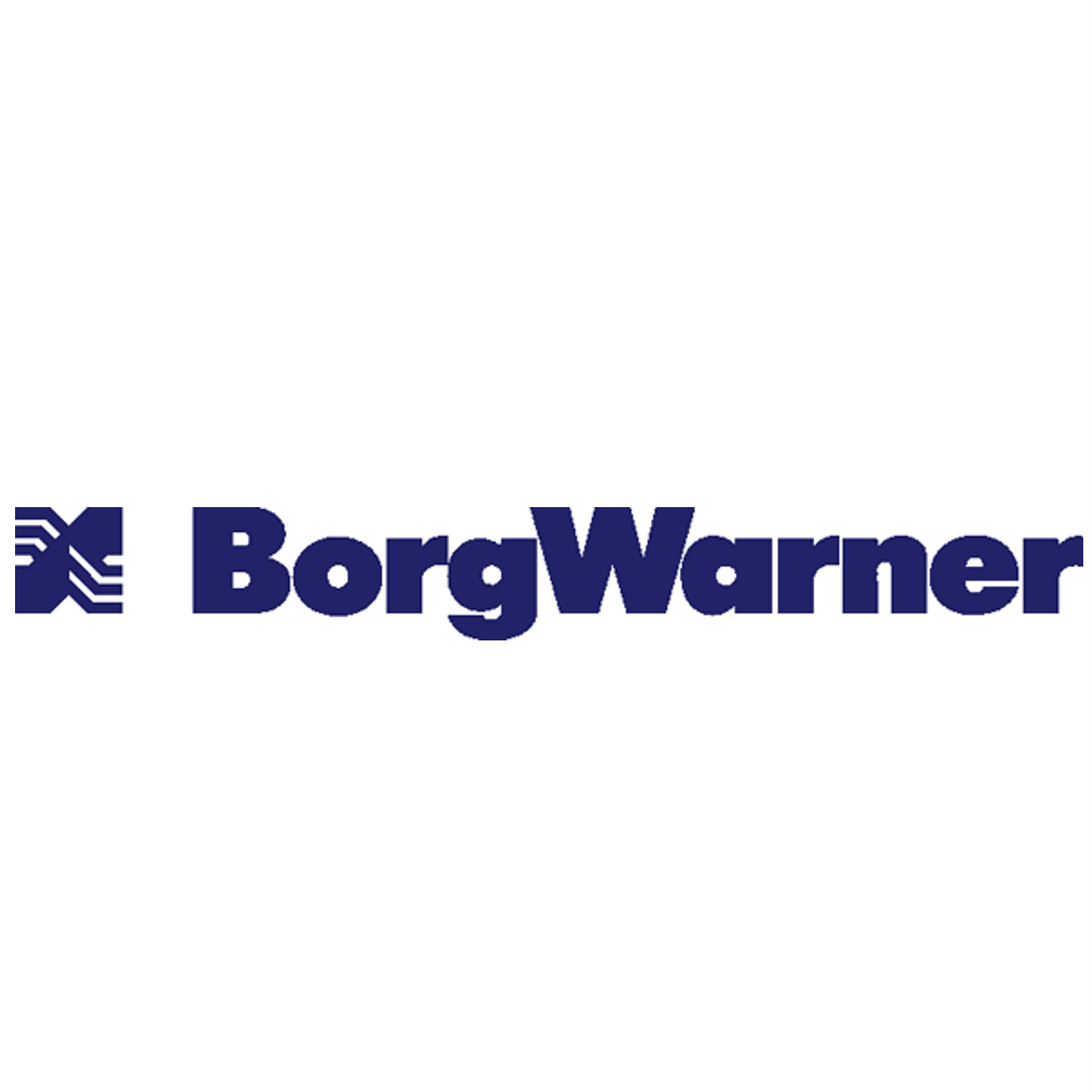 The borgwarner logo is blue and white on a white background.