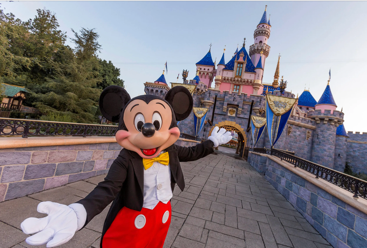 a mickey mouse mascot is standing in front of a castle