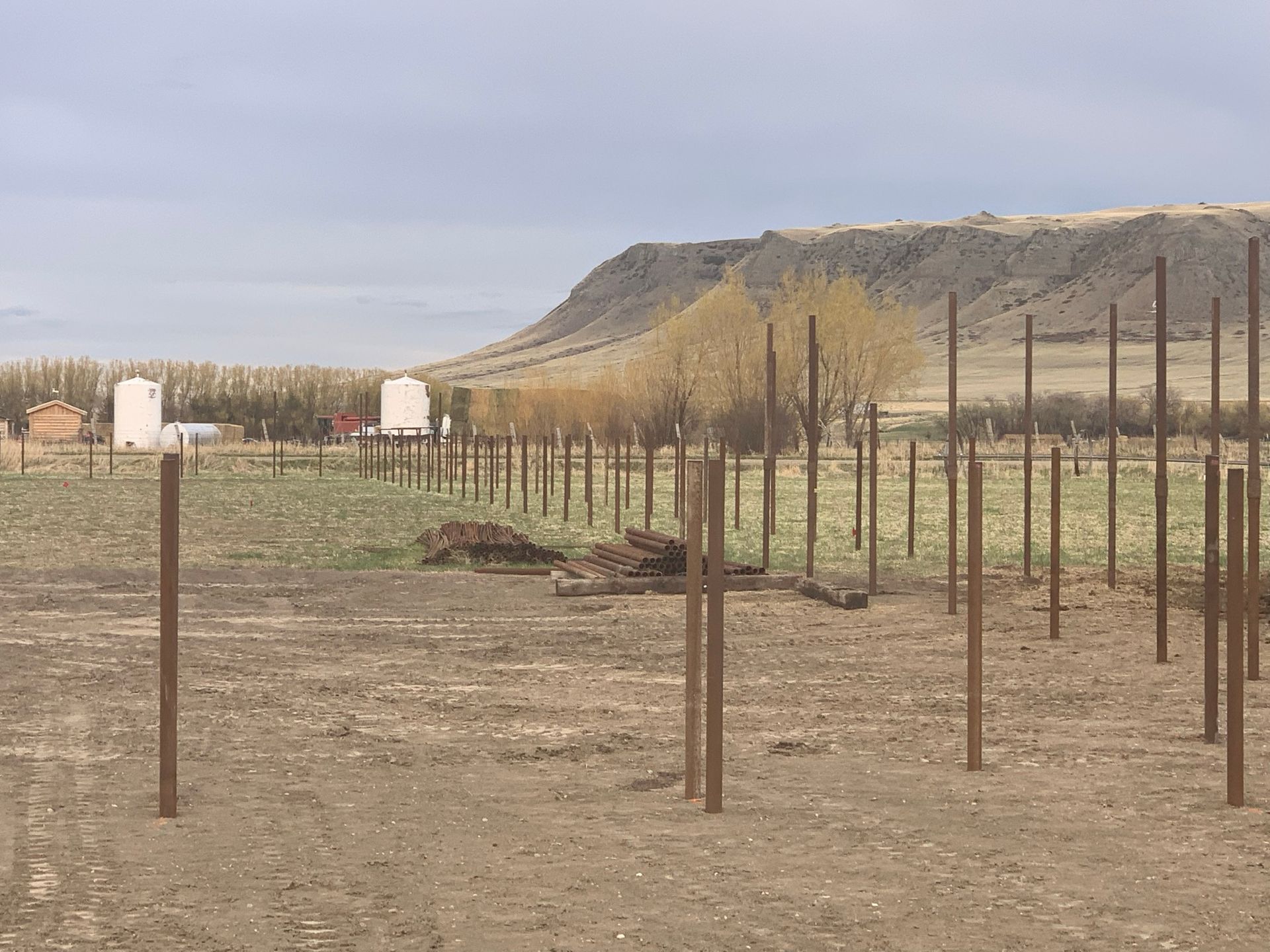 Rows of tall, thin fence posts stand in a dirt field under a cloudy sky, with a rocky hill and trees in the distance.