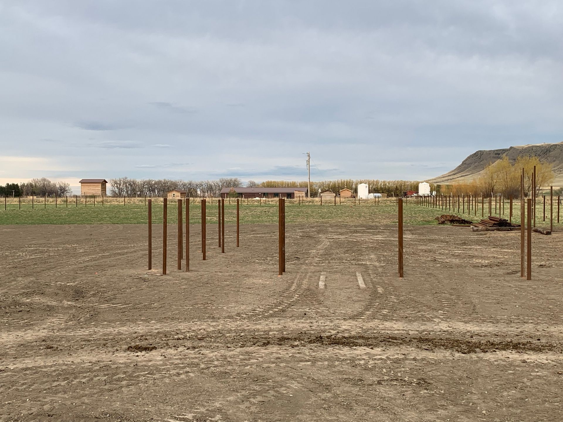 Multiple wooden fence posts stand in rows on a bare, dirt field under a cloudy sky.