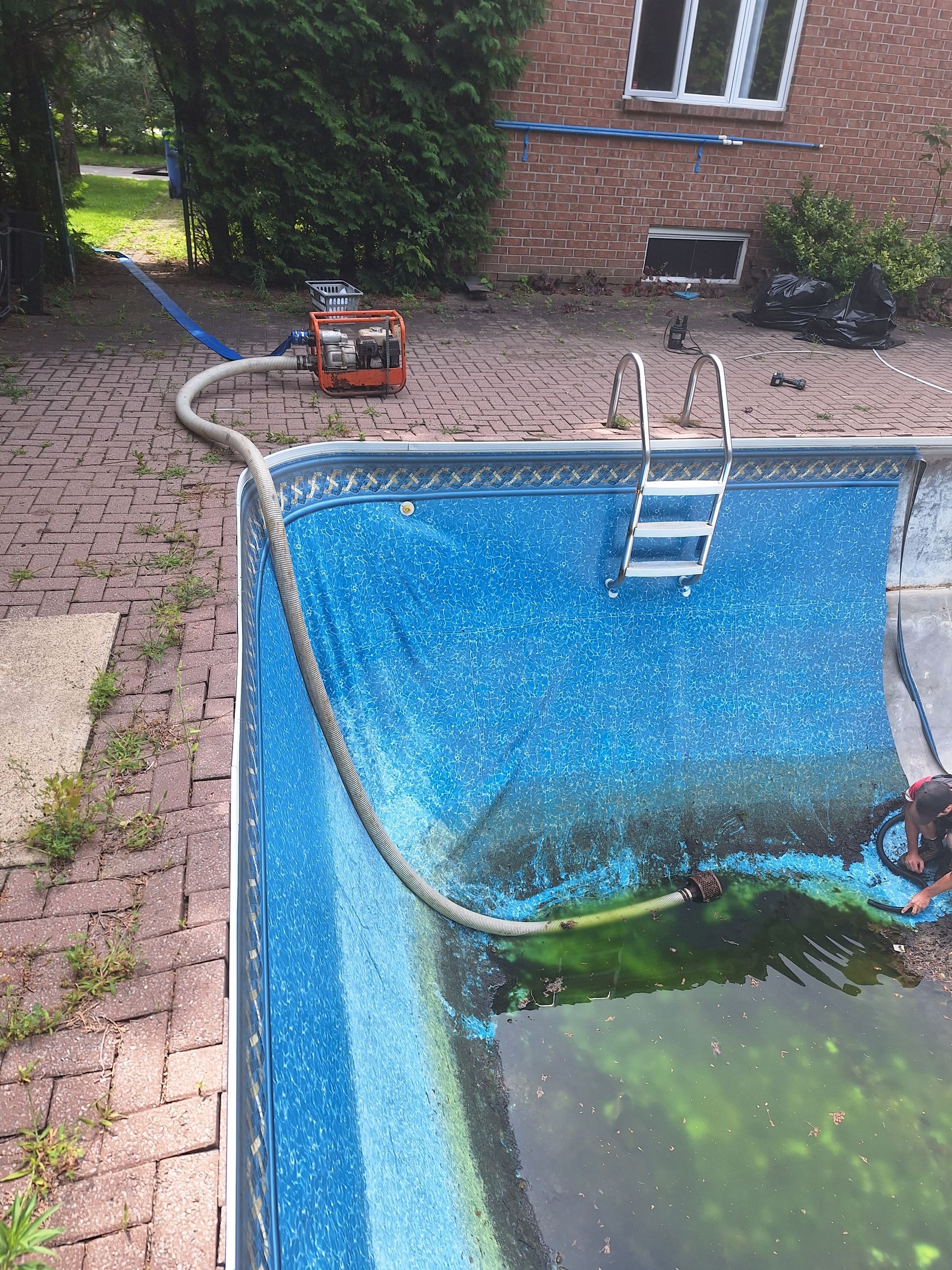 A man is digging in the dirt in a backyard