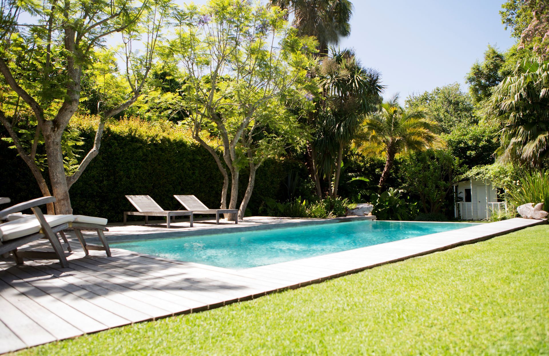 A large swimming pool surrounded by chairs and trees