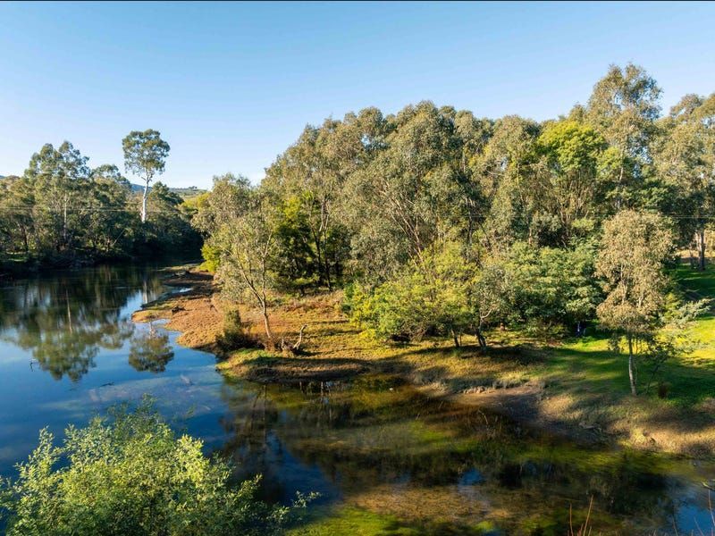 A calm river flows past a lush, wooded riverbank under a clear blue sky.