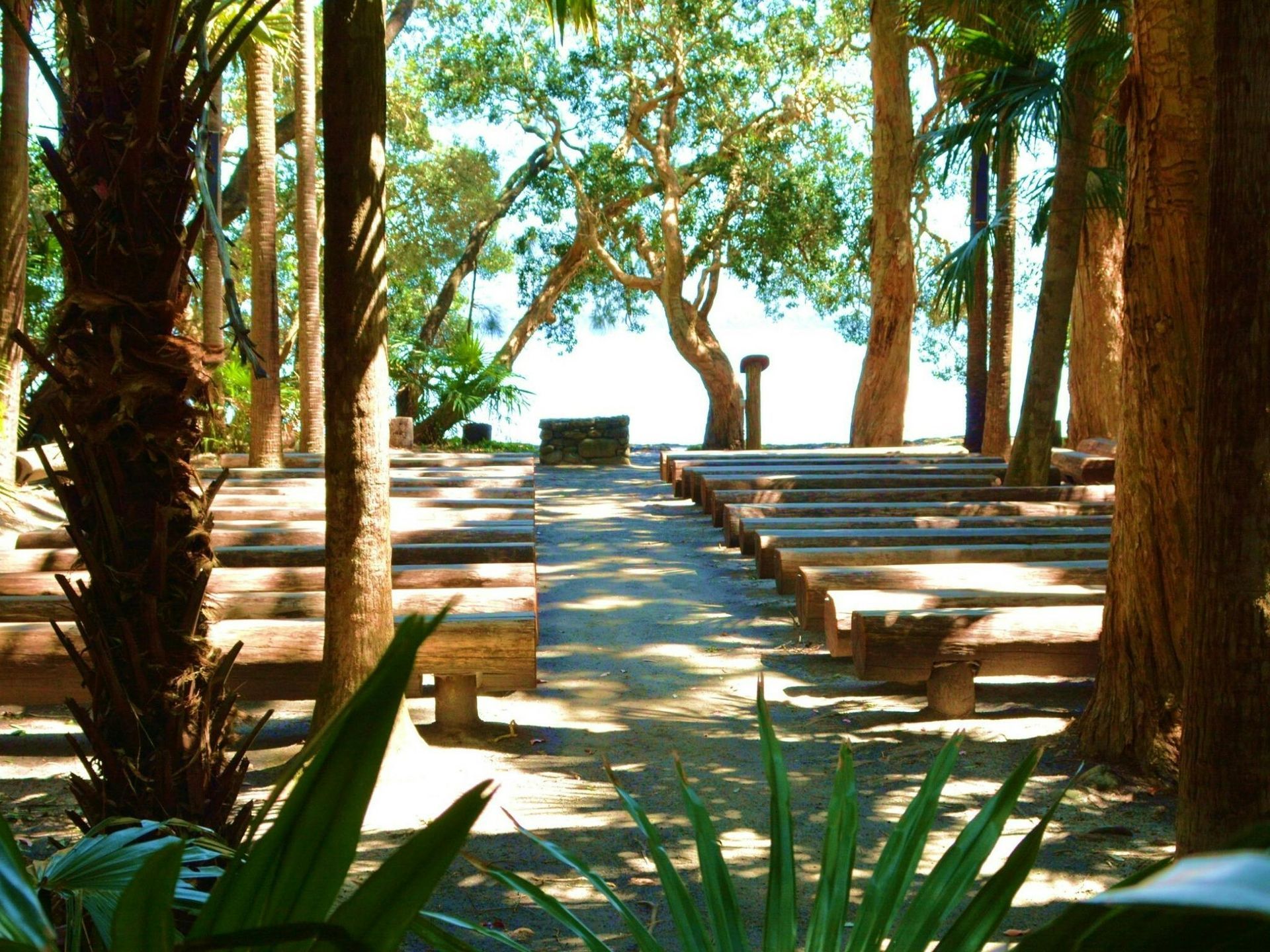 An outdoor, sunlit seating area with wooden benches arranged in rows facing a view of trees and water.