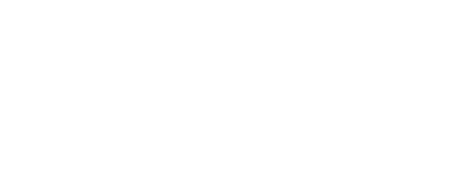 Bellringer's logo in coral color on a white background. The text is in a cursive font.