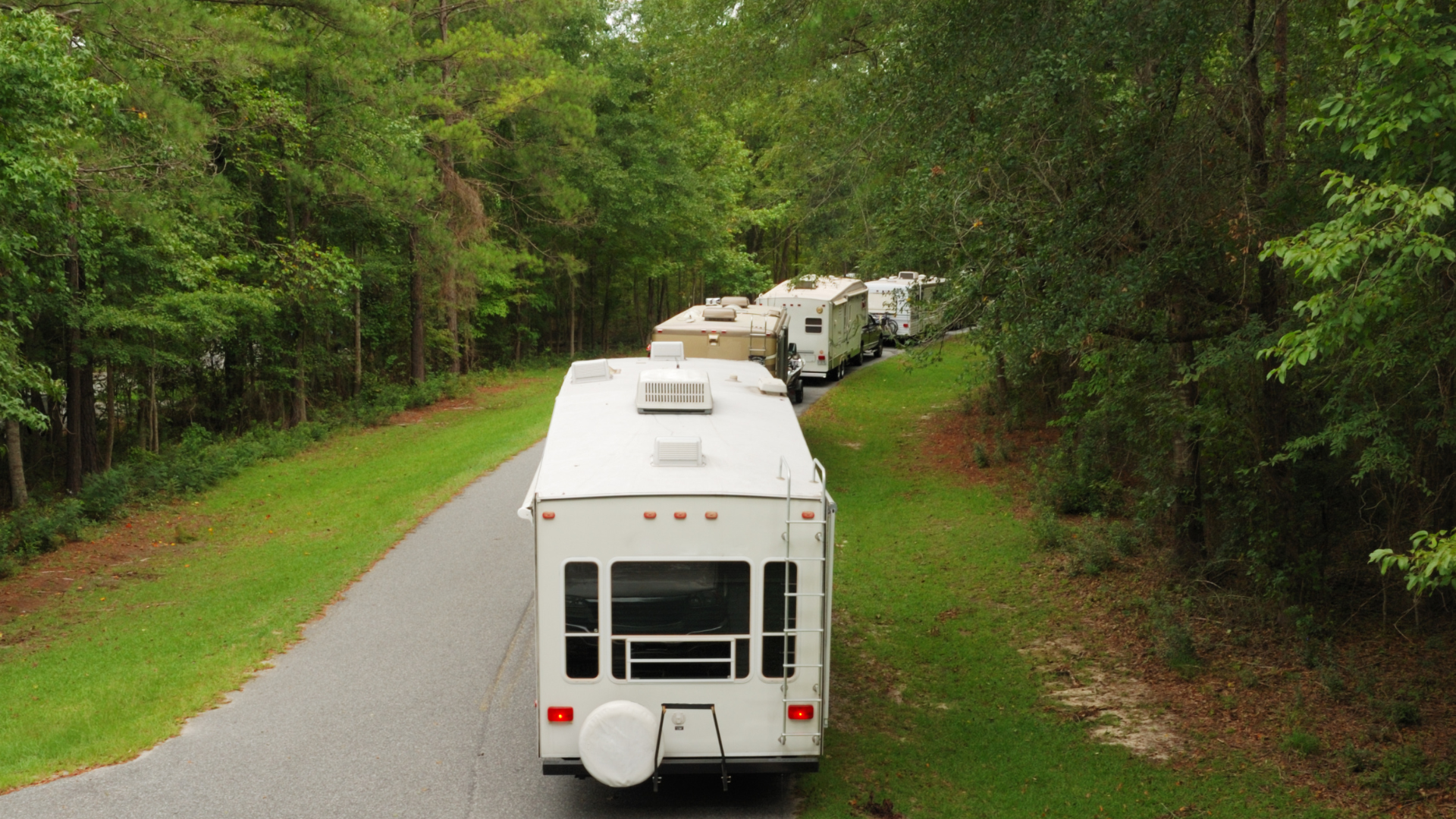Line of RVs parked on a road lined with trees and grass. White RV in foreground.