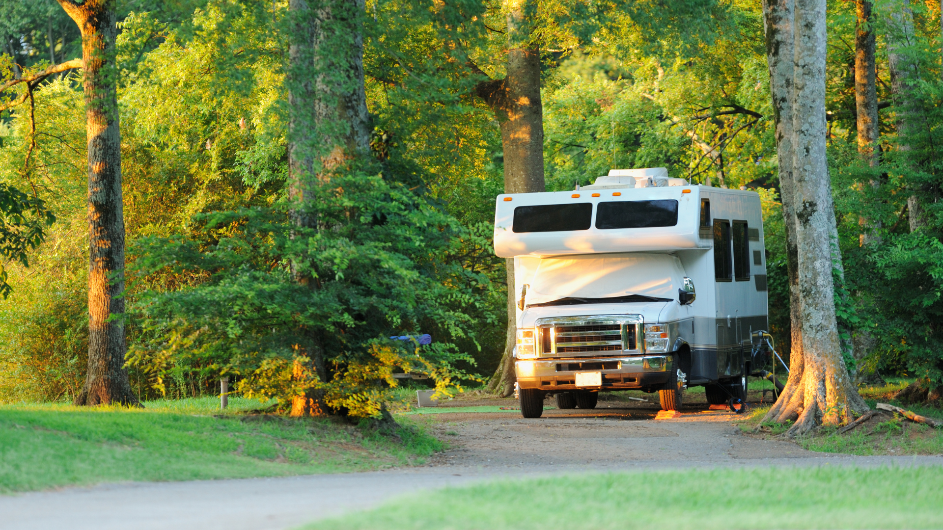RV parked in a clearing in a green forest, bathed in sunlight.
