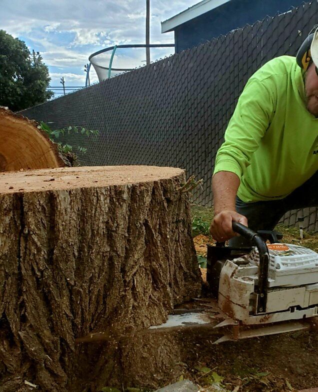Anderson Tree Service Trucks