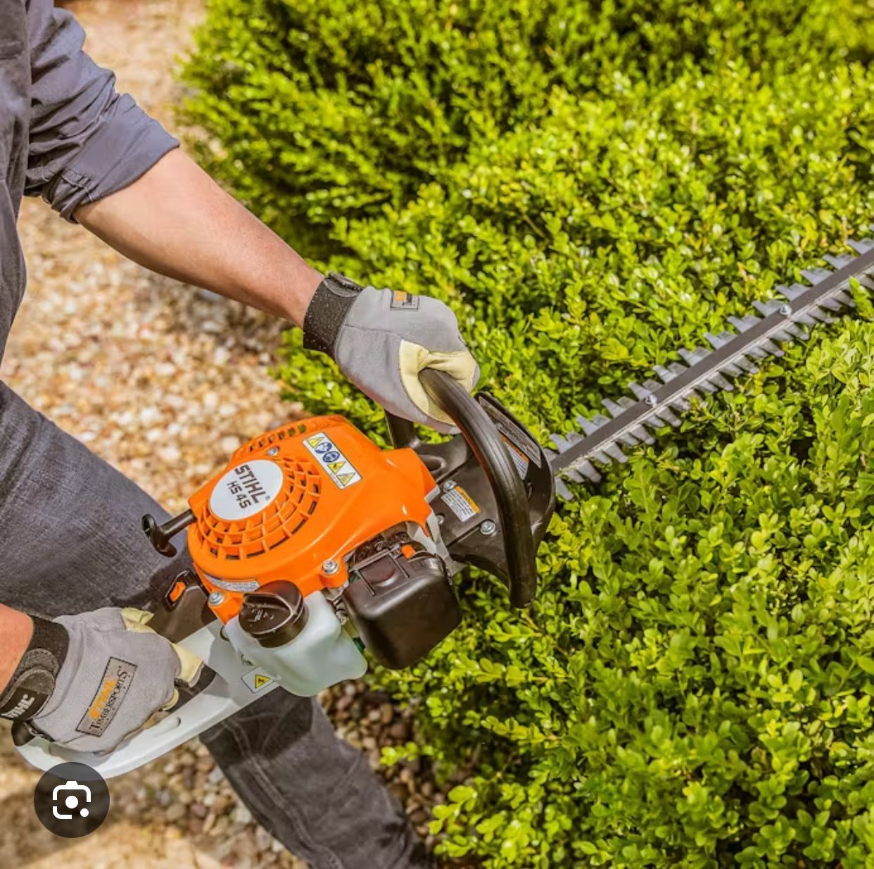 Hedges Trimming Job