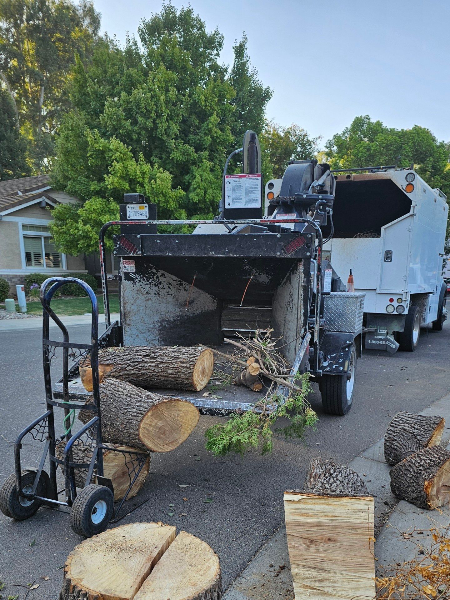 A wood chipper is sitting on the side of the road next to a tree stump.