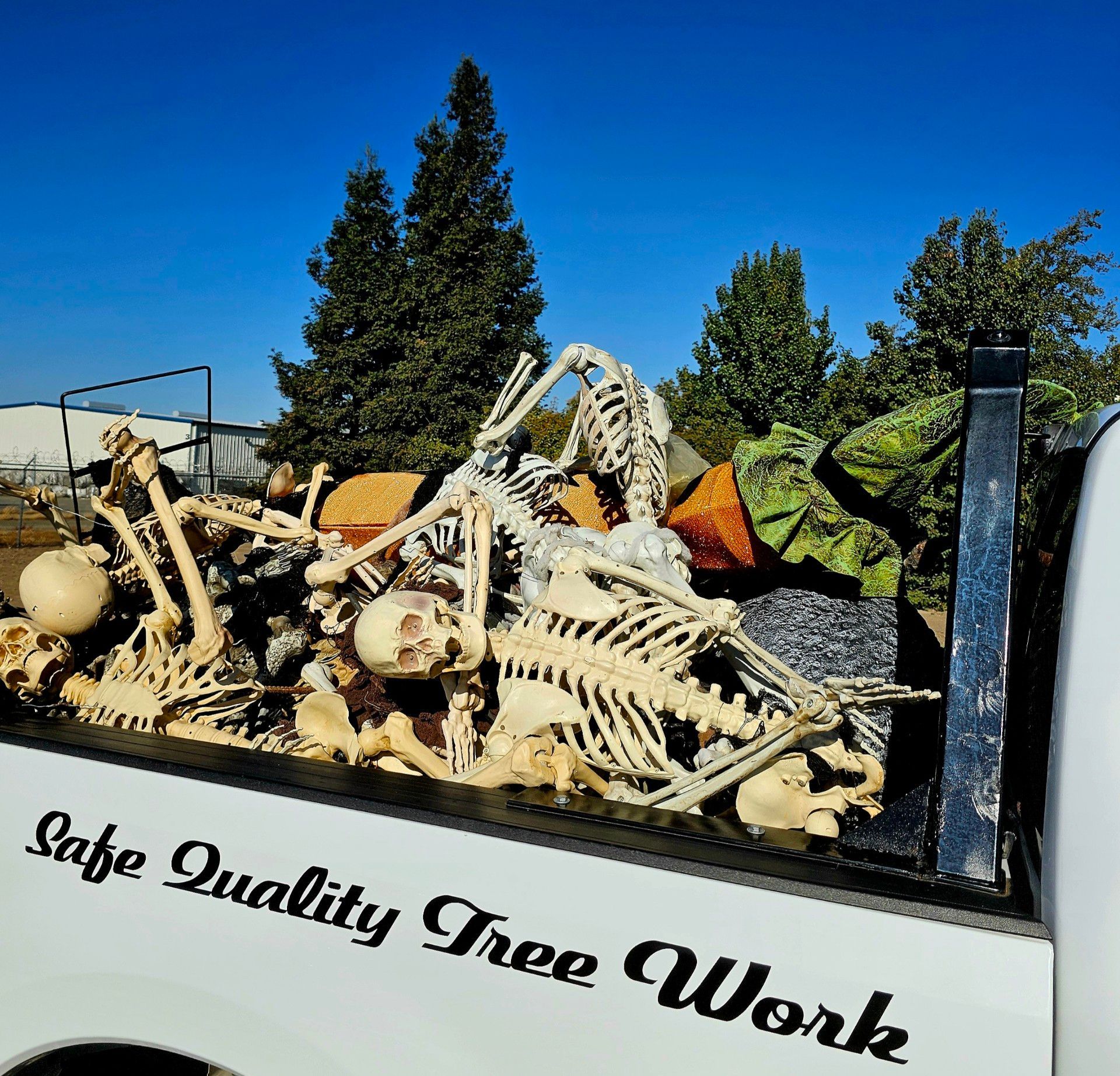 A white truck has a large pile of bones in the back