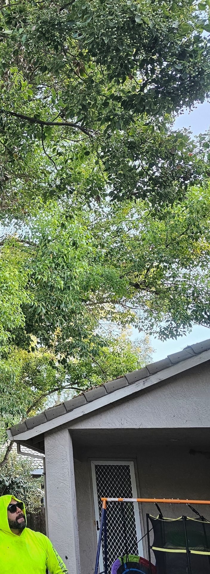A group of people in neon yellow jackets are standing in front of a house.