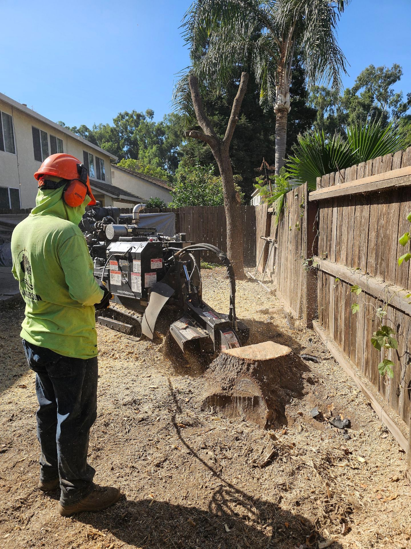 A man is standing next to a machine that is cutting a tree stump.