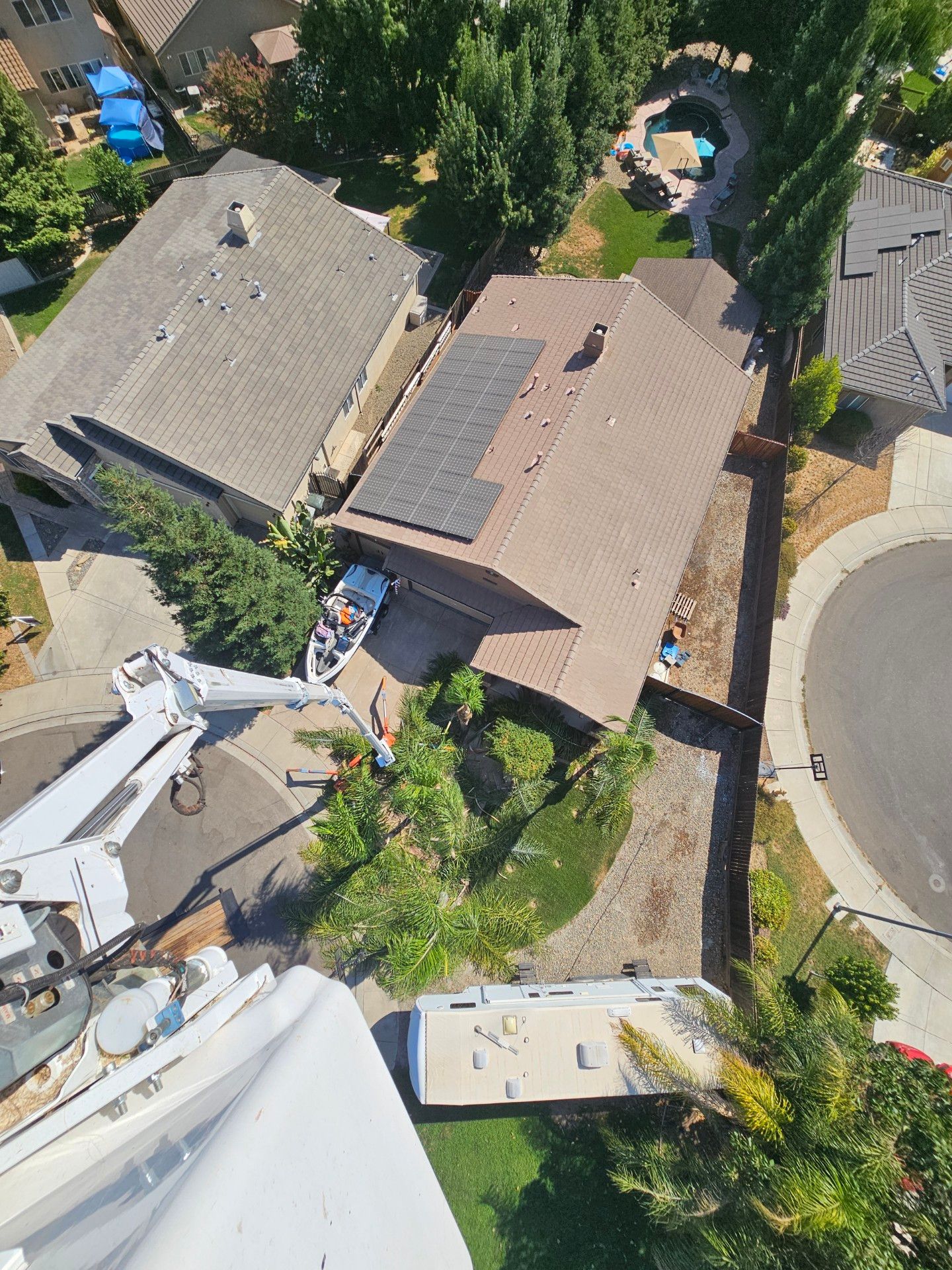 Overhead Tree Work Photo