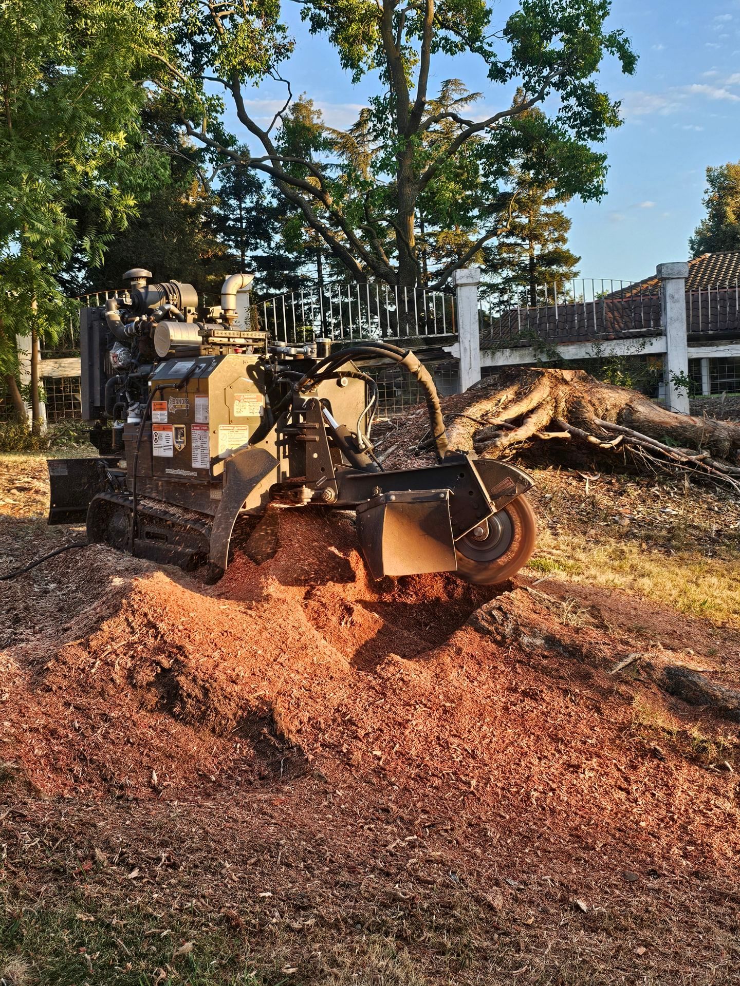 The Stump Grinder operating