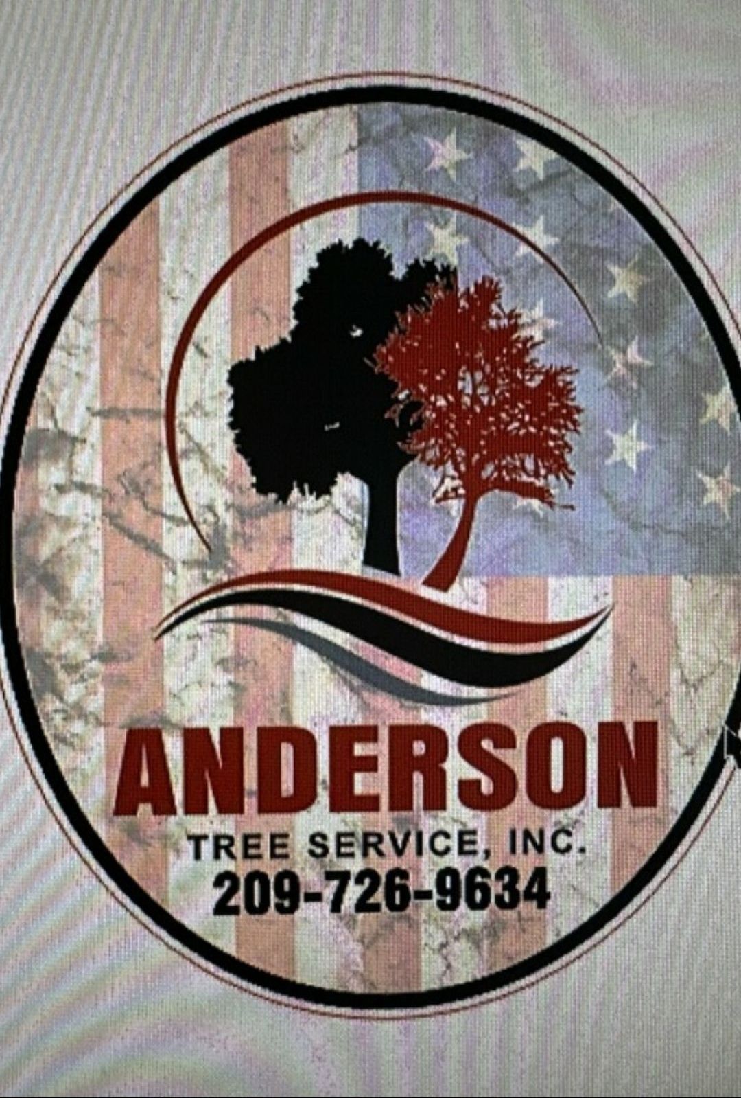 Anderson Flyer
