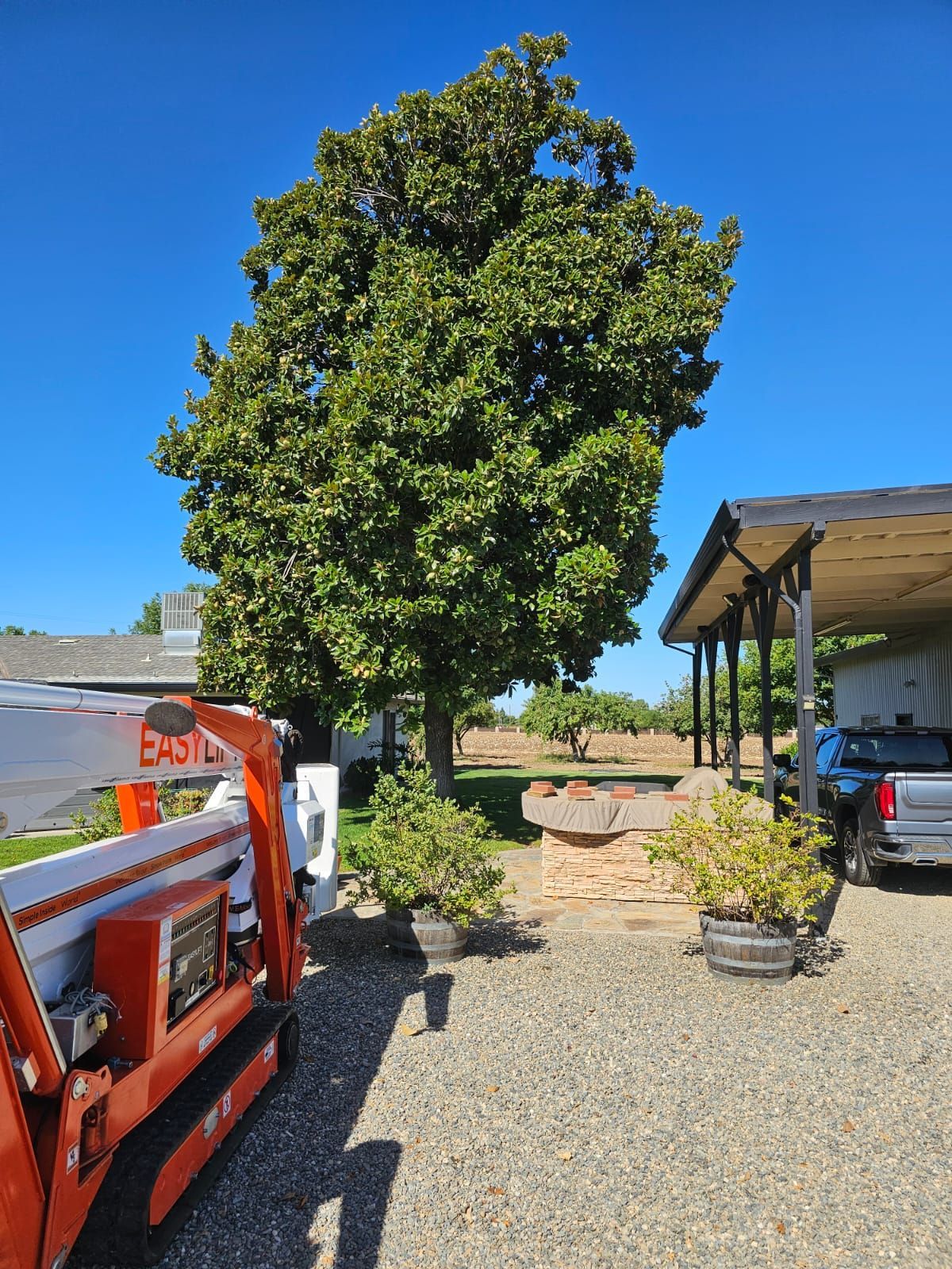 Tree services merced ca