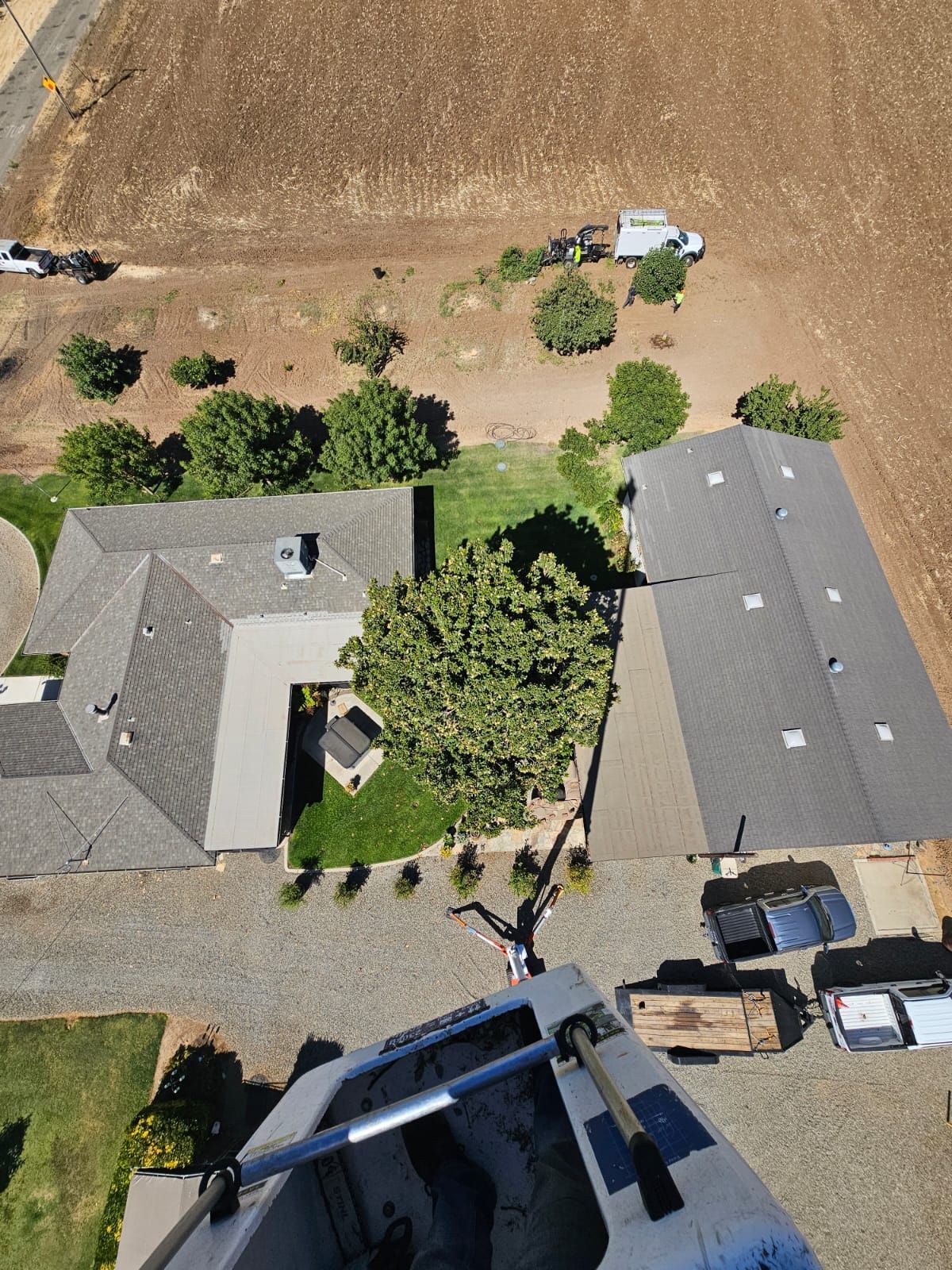 Recurring Tree Care Services