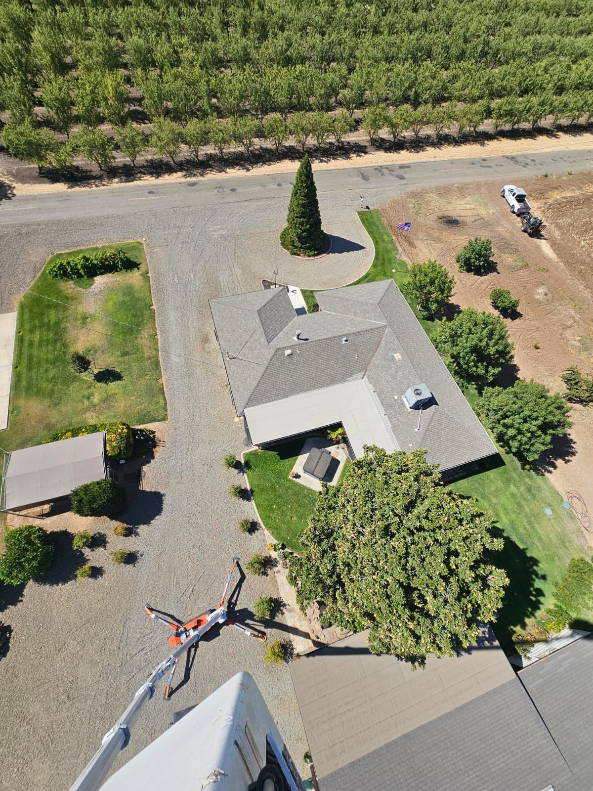 Tree pruning in merced
