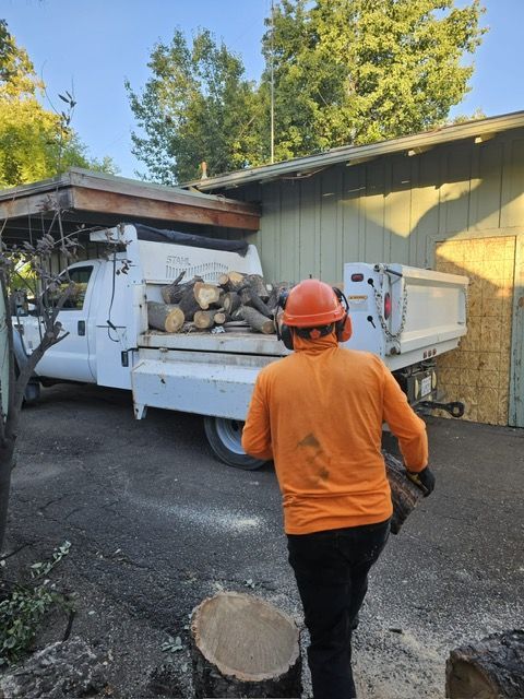Chopping up the downed tree