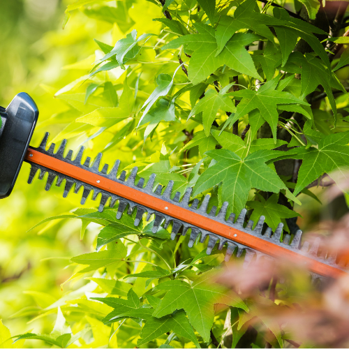 tree care