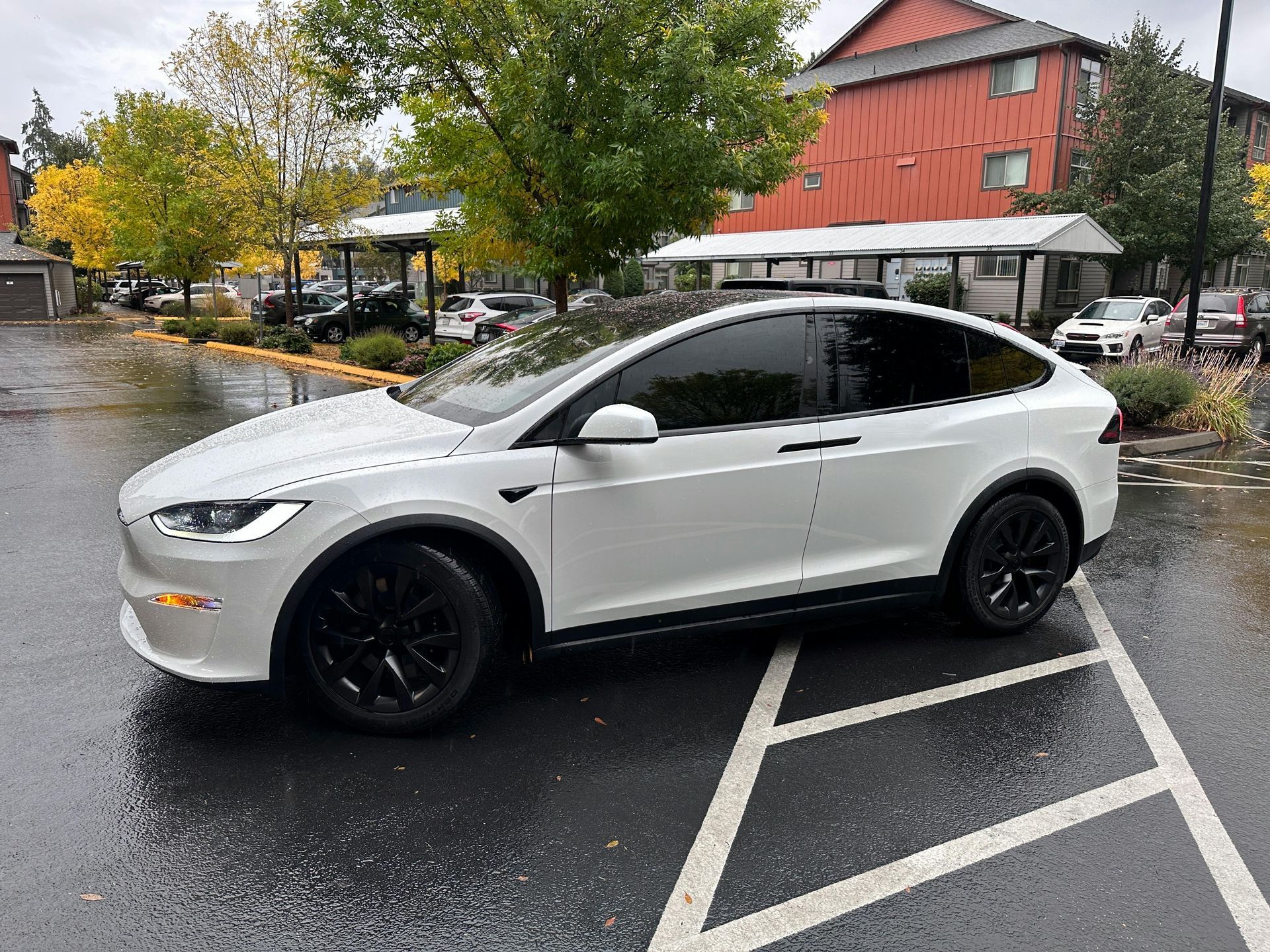 A tesla with tinted windows, showcasing the stylish and protective benefits of automotive window