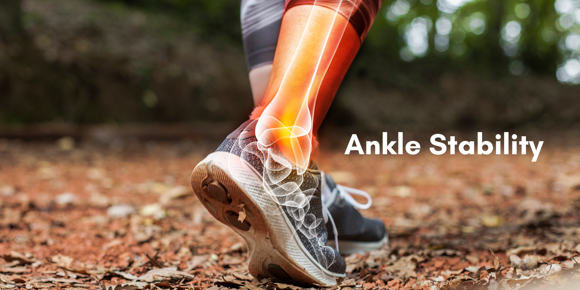 Ankle Stability