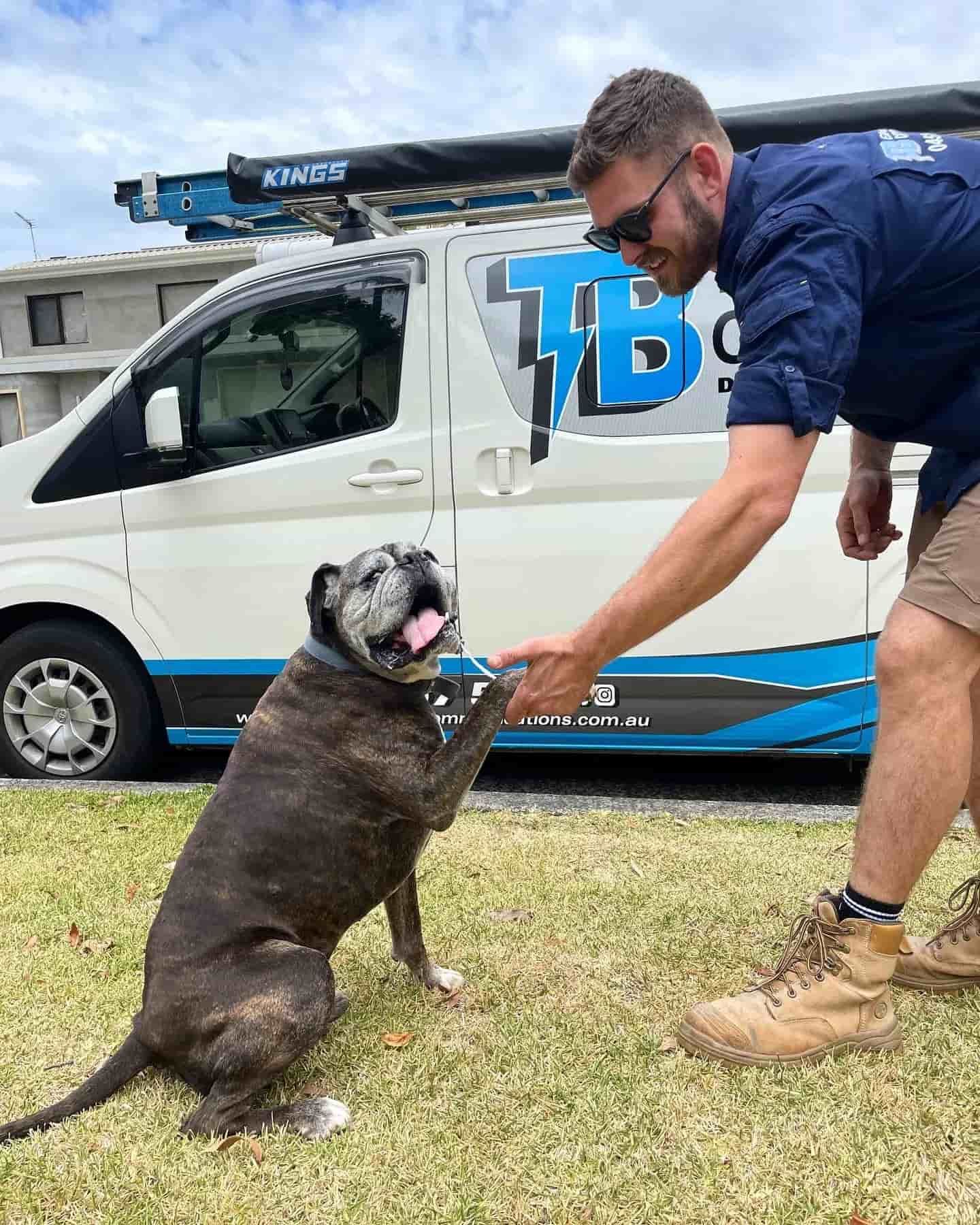 Electrician With A Dog Beside The Service Van — TB Electrical & Communications in Erina, NSW