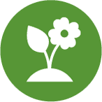 Weiße Blume und Blatt wachsen aus der Erde in einem grünen Kreis.