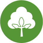 Weiße Baumwollpflanzensilhouette auf grünem Kreis.