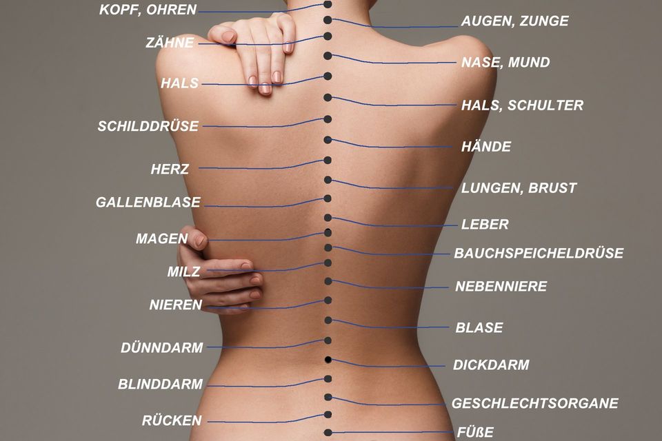 Nackter Rücken Frau mit Text der verschiedenen Organe im Körper platziert