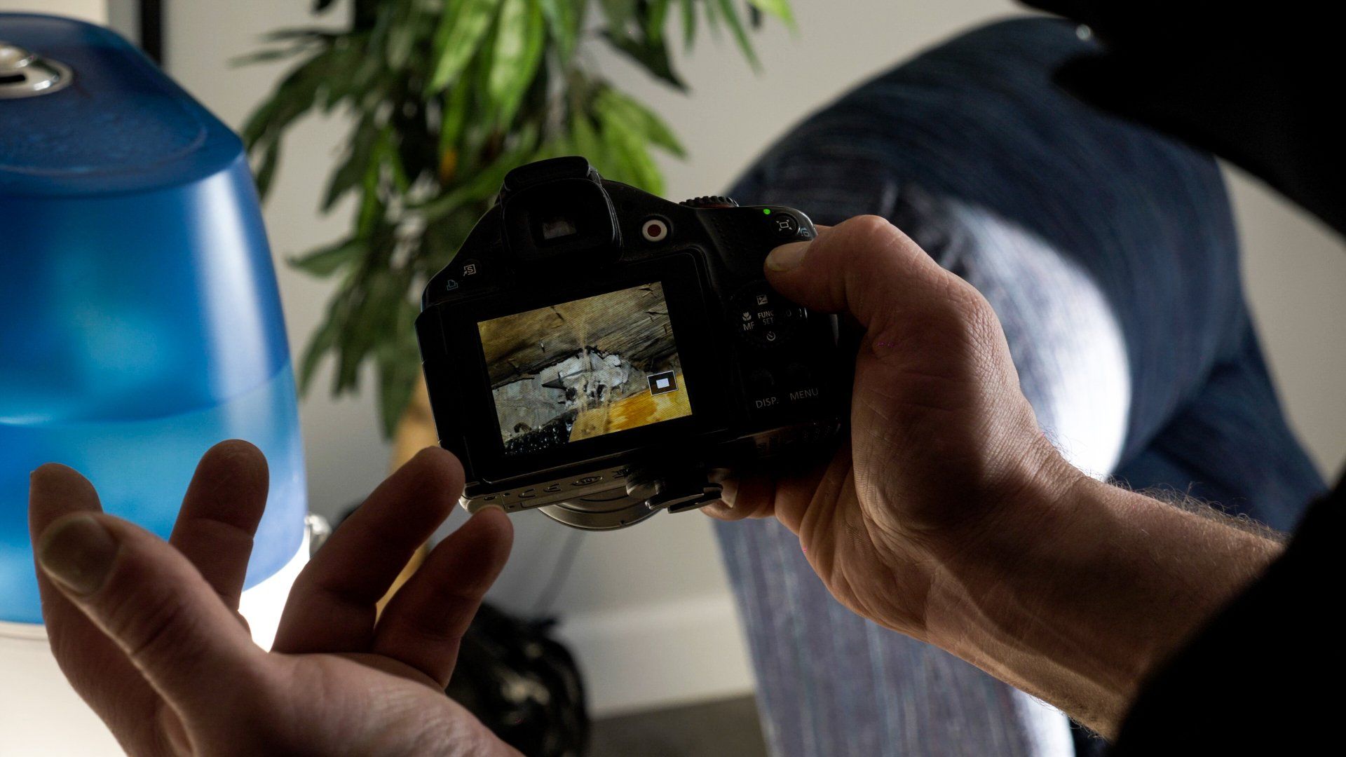 Une personne tenant un appareil photo numérique examine une photo. À proximité, un humidificateur bleu et une plante.