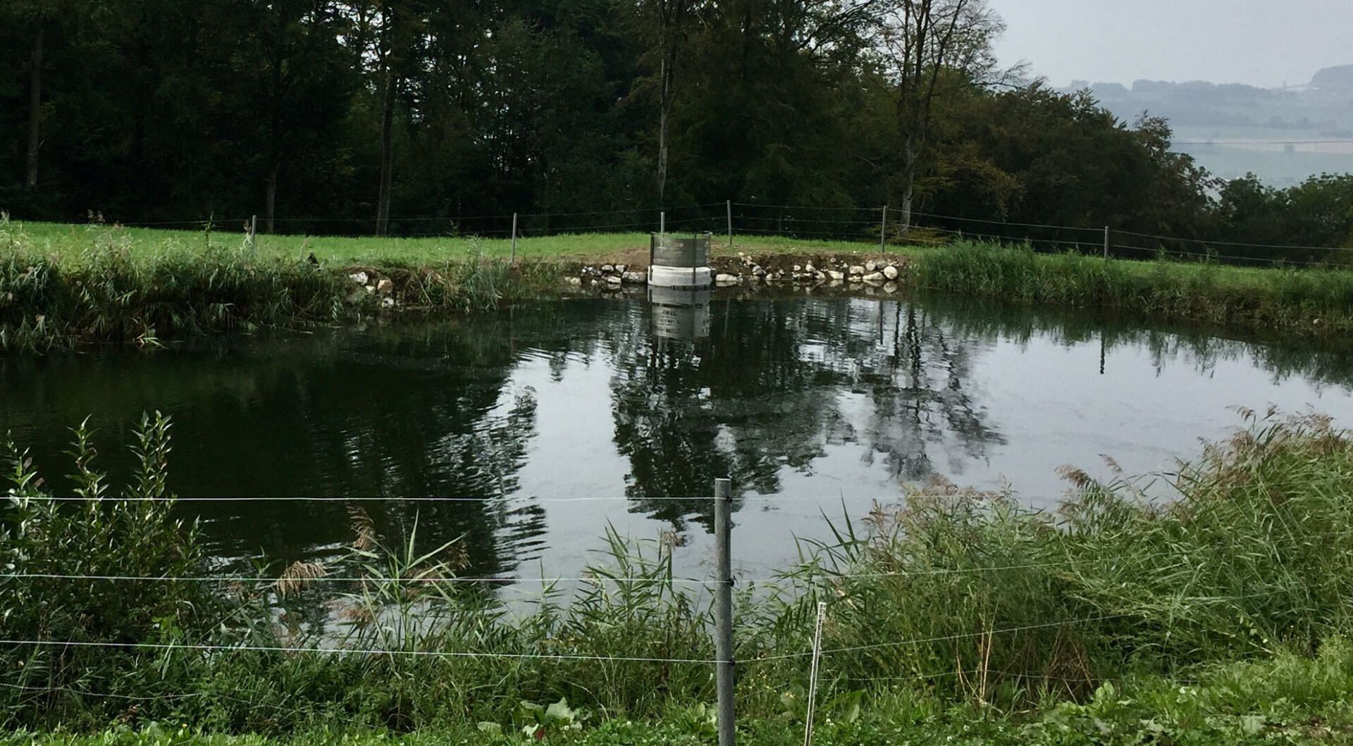 Gartenbau und Gartengestaltung Sanierung Lehmteich